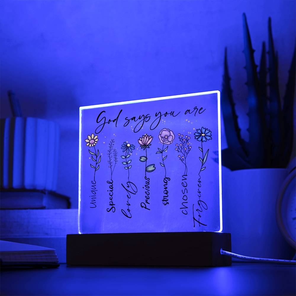 God Says You Are | Acrylic Plaque